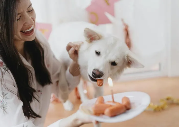 Pet-friendly Gozo Haven With Pool וילה Xagħra